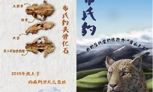 登峰造极指啥生肖_登峰造极猜一个生肖