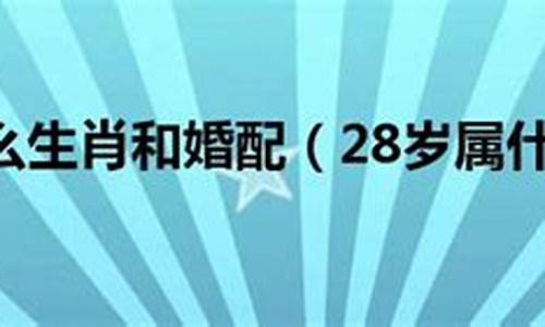 28岁2017属什么生肖_28岁属什么生肖的2019