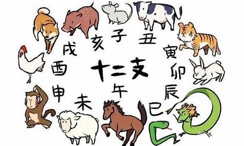 暖和与什么生肖有关系吗_暖和猜一生肖