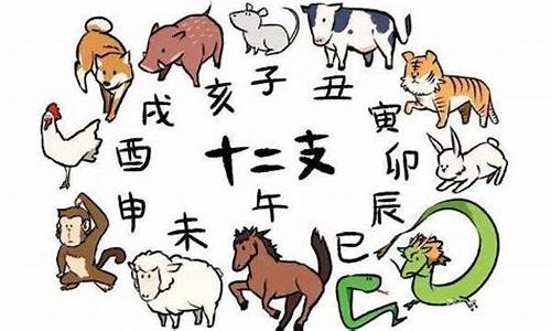 言令是什么字_言邻金虎是什么生肖