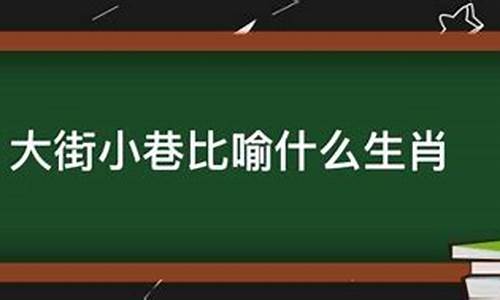 大街小巷猜几个生肖_大街小巷解什么生肖