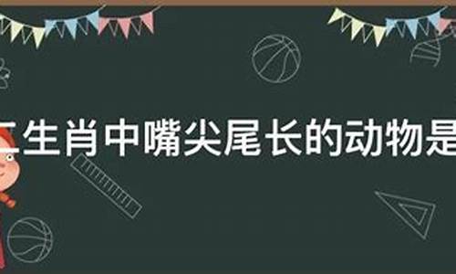 嘴尖尾巴长是什么生肖_嘴巴尖的尾巴长得什么生肖