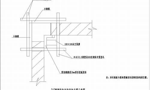 木头顶外墙硬顶是什么生肖_木头外墙效果图