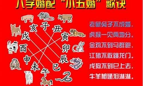 什么生肖跟老虎义结金兰_老虎要和什么生肖结婚才好呢