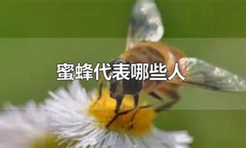 蜜蜂表示什么_蜜蜂代表什么生肖戓动物