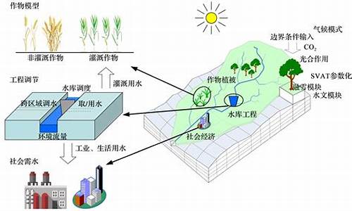 水能代表什么动物和生肖_水的动物是什么生肖