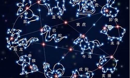 12星座什么最聪明_十二星座哪个生肖最聪明