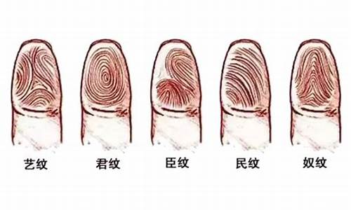 手纹9个螺代表什么生肖动物_手纹9个螺代表什么生肖