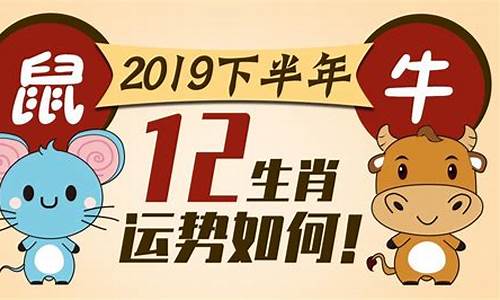 2019生肖鼠运势详解_2019生肖鼠运势详解图