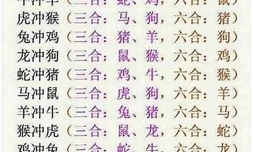 马与什么生肖搭配最佳_马与什么生肖搭配最佳呢