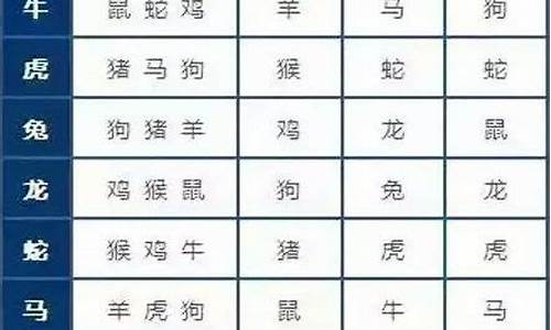 席是什么生肖正确答案_席打一生肖