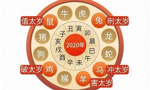 2019十大生肖运势查询_2019生肖运势大解析 十二生肖