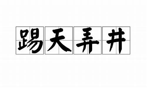 踢天弄井是成语吗_踢天异井什么生肖