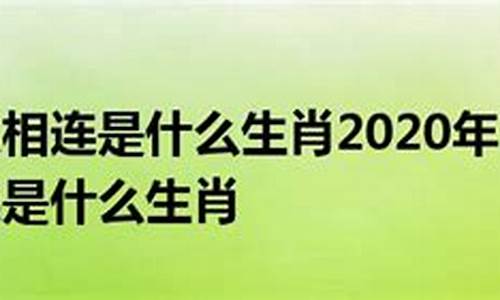 手足情谊是什么意思_手足情谊形容什么生肖