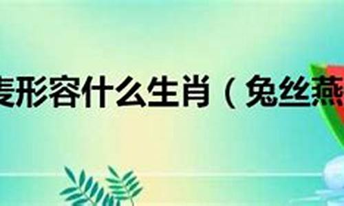 兔丝燕麦是生肖蛇吗_兔葵燕麦