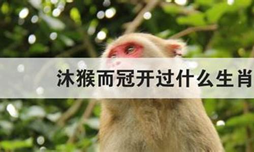 独猿哀鸣开过什么生肖_独猿哀鸣打三个数字