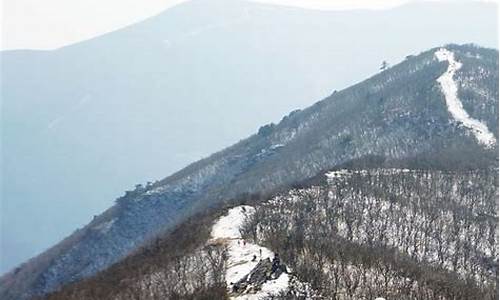 踏雪迎风的意思_踏雪寒光峰尖起指什么生肖