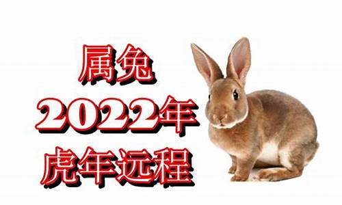 属兔生肖虎年运势如何_属兔人虎年运势2021运势详解