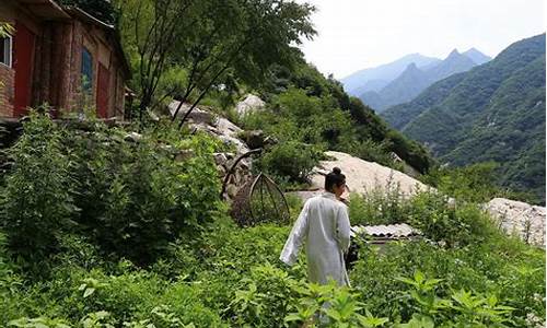 隐居山林的正确生肖_隐居山林的人怕什么生肖