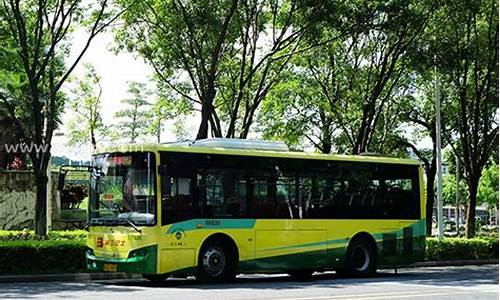 梦到17路公交车_梦见十八路公交是什么生肖