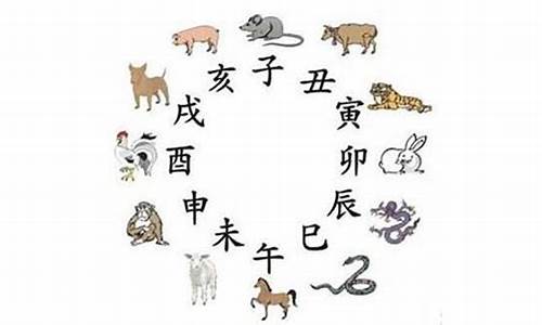 状字猜生肖_状指什么动物生肖正确答案