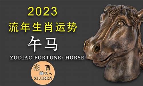 生肖马运程2021_生肖马的运势运程2019