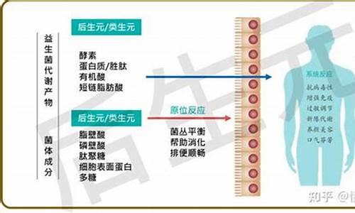 躲过龙虎方后生什么生肖_躲避龙虎榜