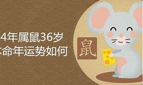 31岁属鼠什么生肖-三十几岁属老鼠