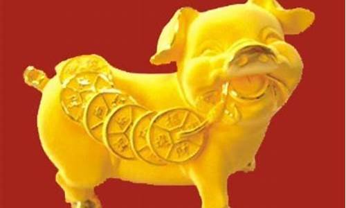 属猪今年遇什么生肖-属猪今年什么运势