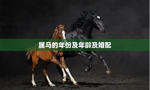 属马人如何选择对象生肖-属马的要找什么对象相配呀