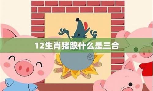 属猪的跟什么生肖合适-属猪跟什么生肖会幸福呢