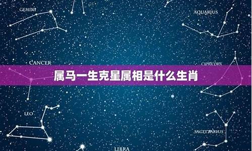 属马的最克谁-生肖属马的克星是谁