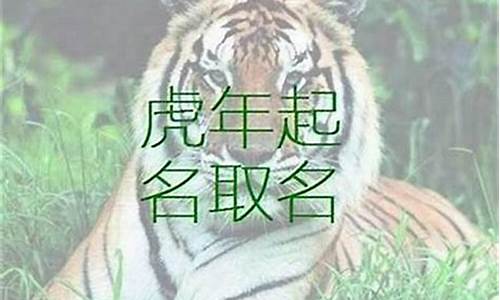 属兔要虎宝宝-兔年生肖属虎取名