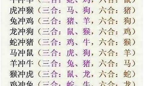 属马的和属兔的相配吗免费八字-生肖属马属兔的合不合