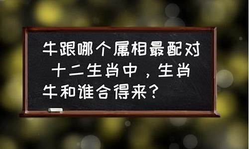 生肖牛和属啥合得来-属牛和属什么的合