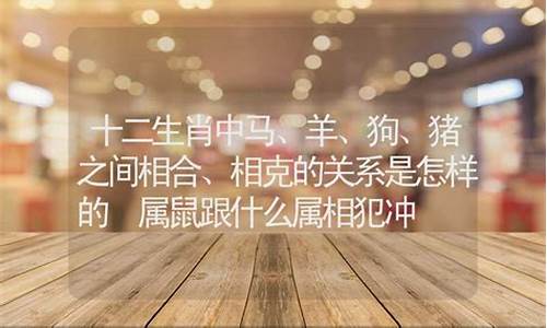 属鼠跟属猪的人合不合-属鼠跟属猪的人生肖合吗